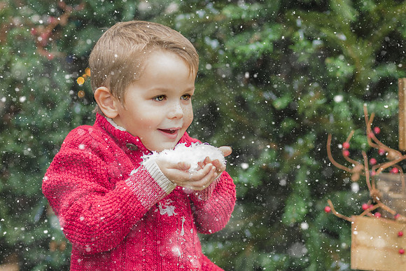 Christmas mini session