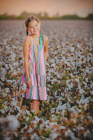 cotton field mini session