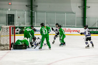 {Playoff game 1, 12ua brahmas vs 12ua Jr Tx Stars, 3.1.24}