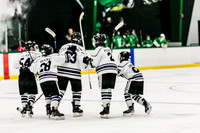 {Playoff game 1, 12ua brahmas vs 12ua Jr Tx Stars, 3.1.24}