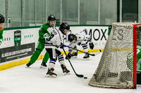 {Playoff game 1, 12ua brahmas vs 12ua Jr Tx Stars, 3.1.24}